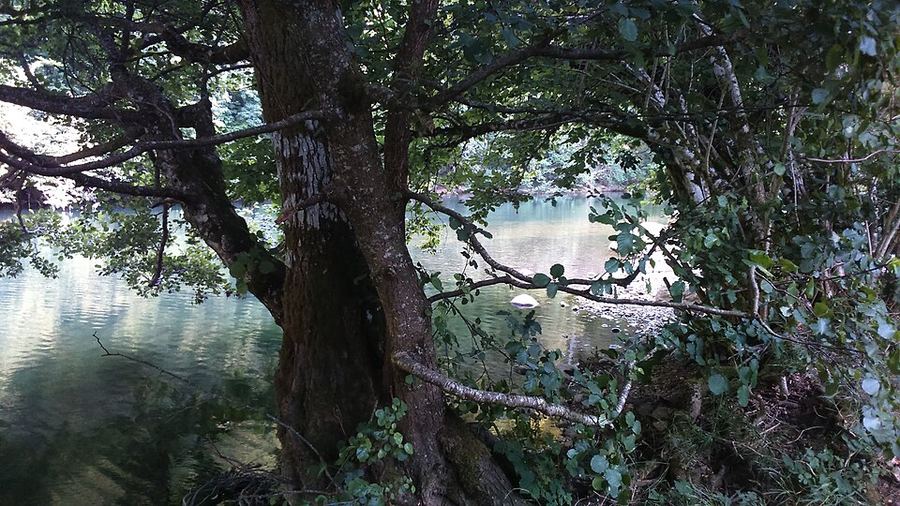 A photo found near this route