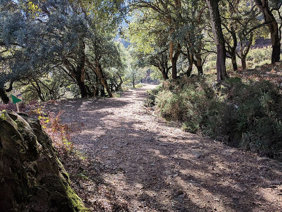 A photo found near this route