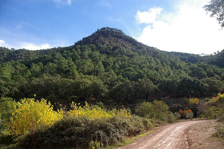A photo found near this route
