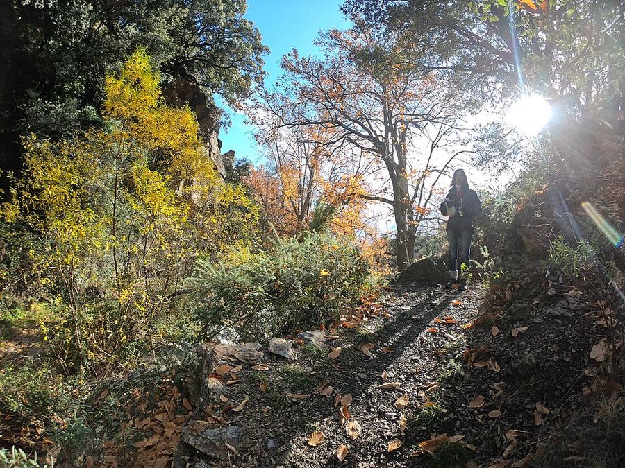 A photo found near this route