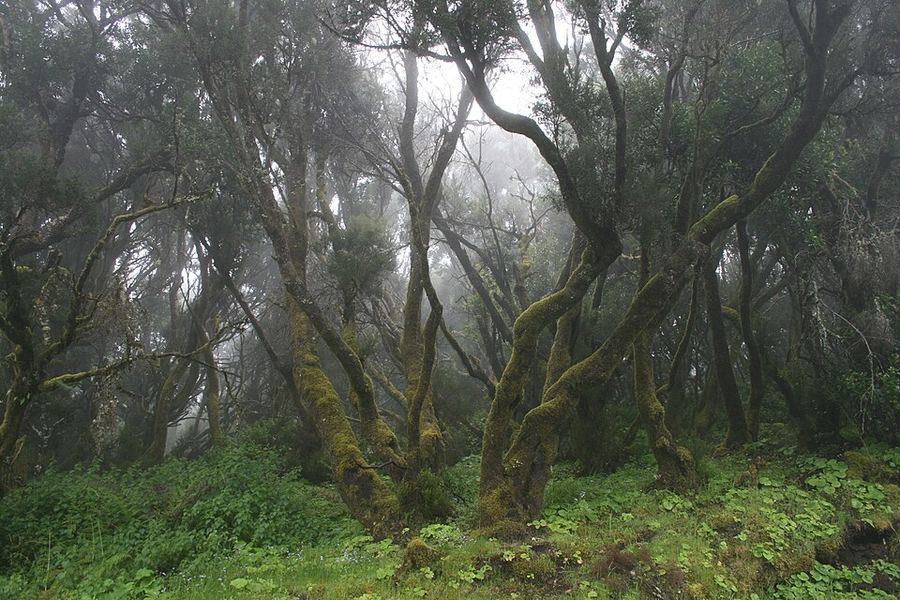 A photo found near this route