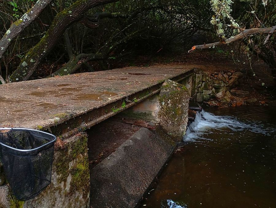 A photo found near this route