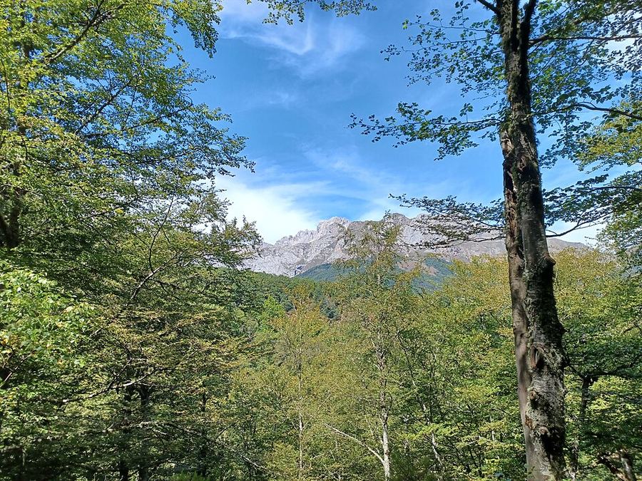 A photo found near this route