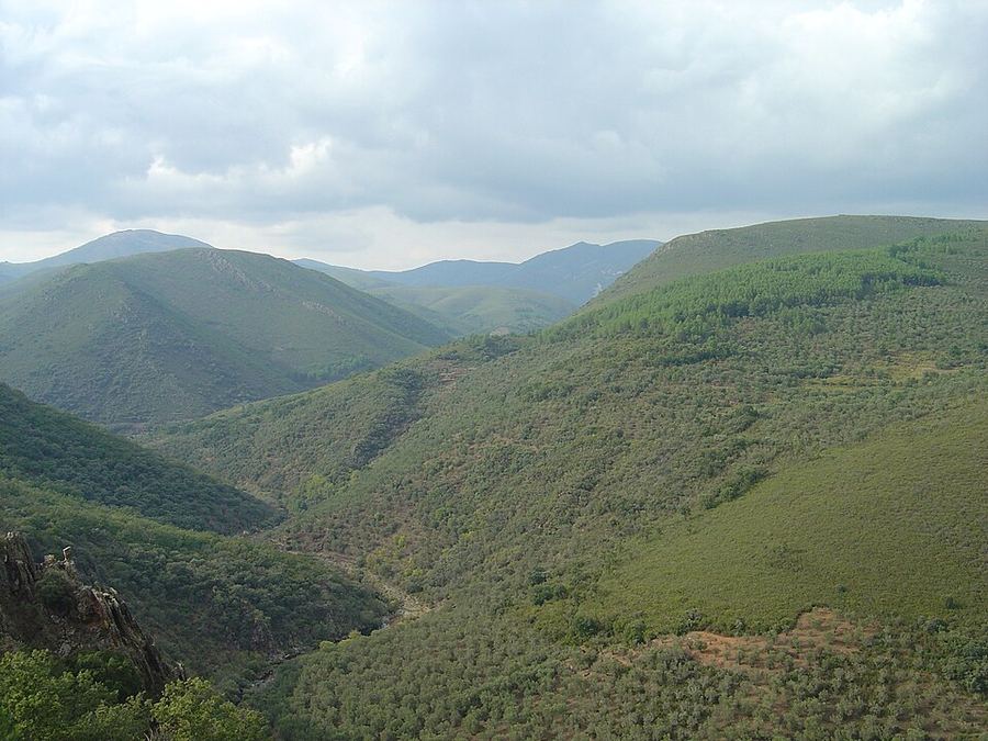 A photo found near this route
