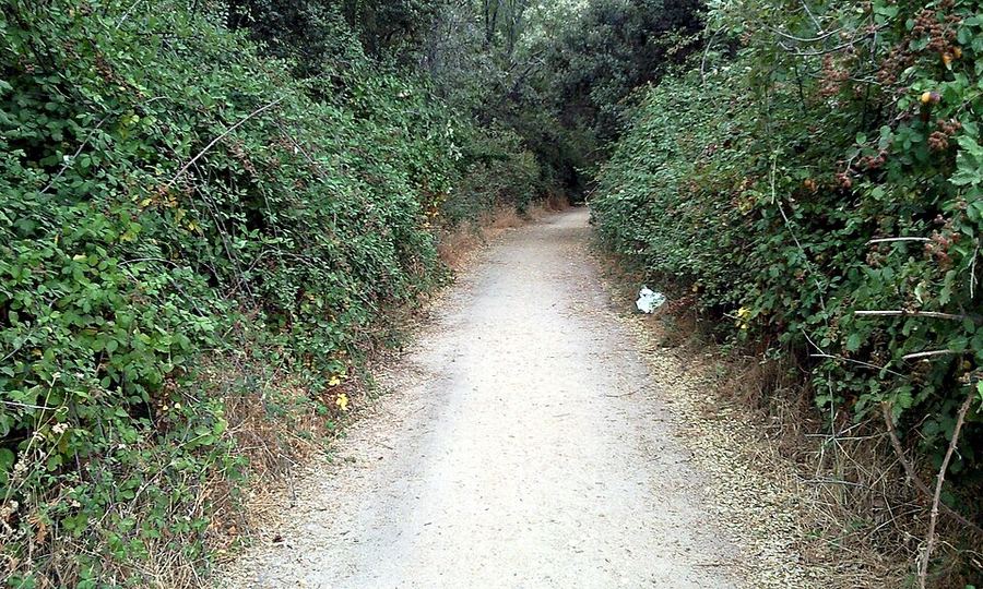 A photo found near this route