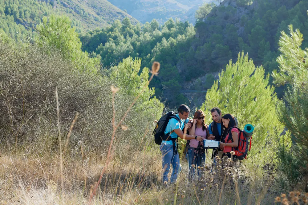 Hikers on a mountain trail