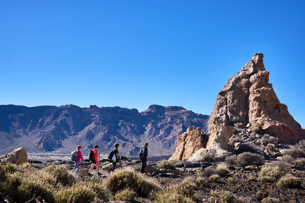 Hikers on a mountain trail