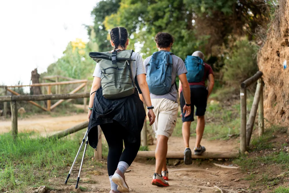 Hikers on a mountain trail