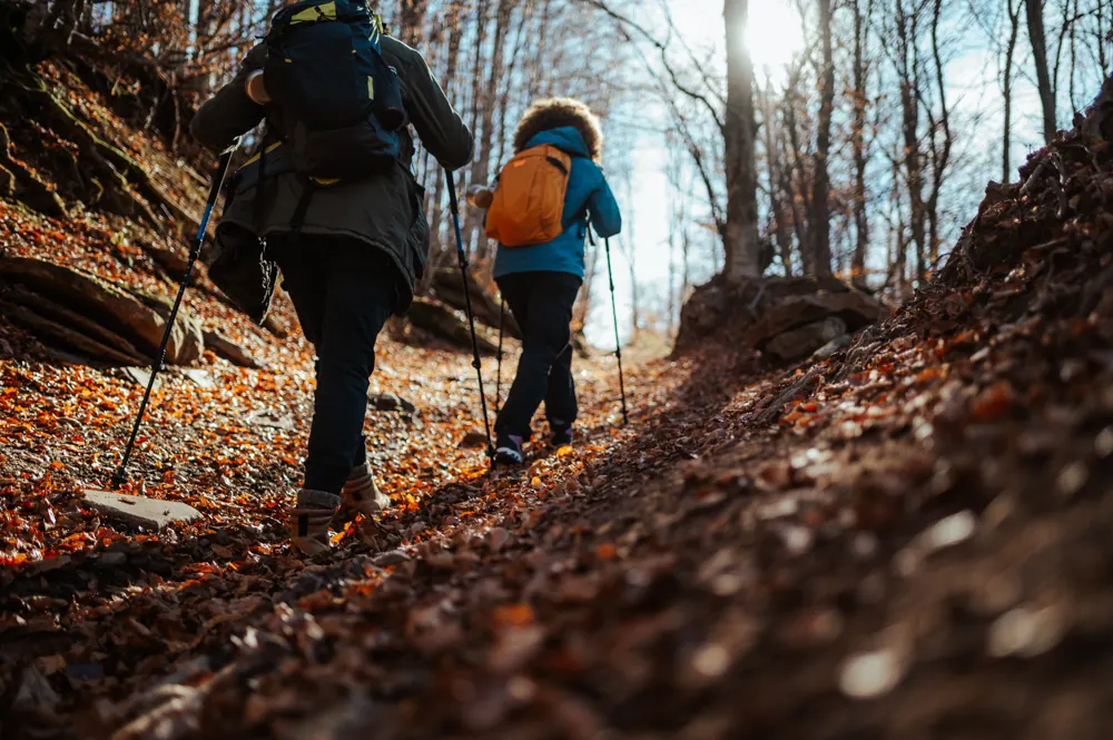 Hikers on a mountain trail