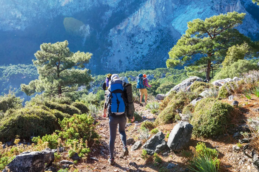 Hikers on a mountain trail