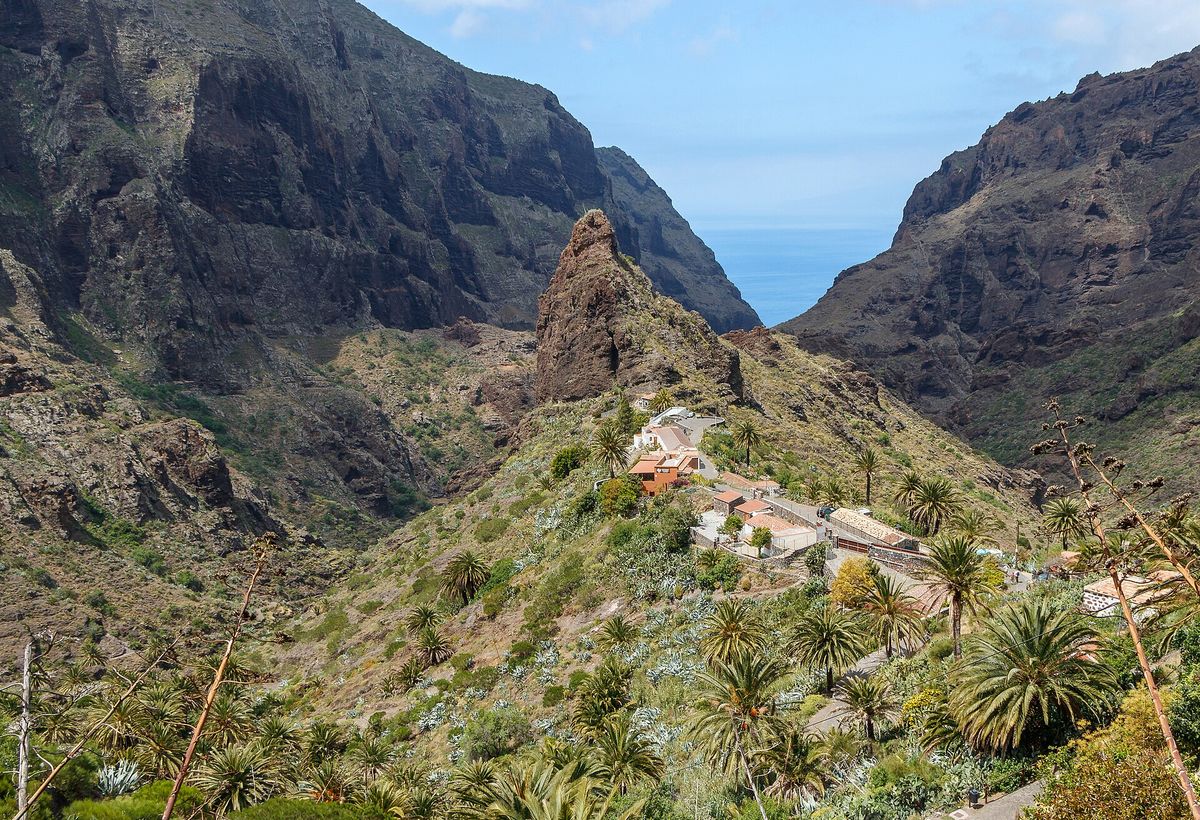 The village of Masca sits on a ridge among palm trees below a rock spire, with the dark gorge opening to the sea in the Teno massif in Tenerife.